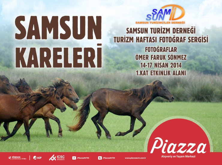 Samsun Kareleri